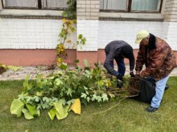 Экологическая акция "Проросток"